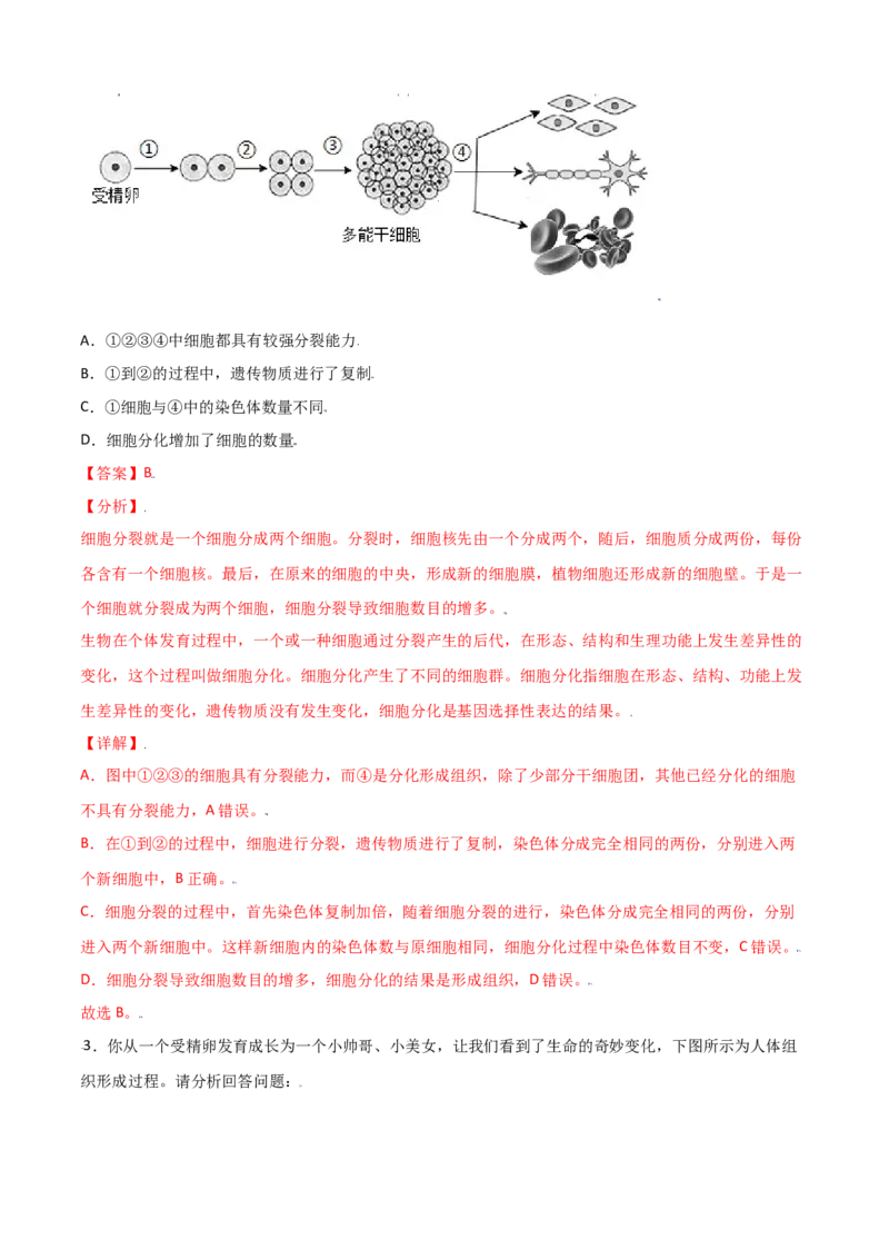 必考点11动物体的结构层次-（人教版）（解析版）_初中全科电子版试卷练习试题_生物_生物人教版7上练习&mdash;24新版已更新_人教生物7年级上专项练习28份