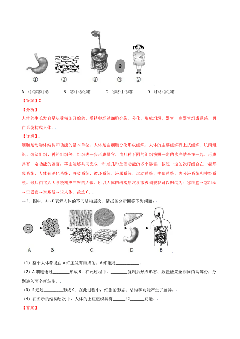 必考点11动物体的结构层次-（人教版）（解析版）_初中全科电子版试卷练习试题_生物_生物人教版7上练习&mdash;24新版已更新_人教生物7年级上专项练习28份