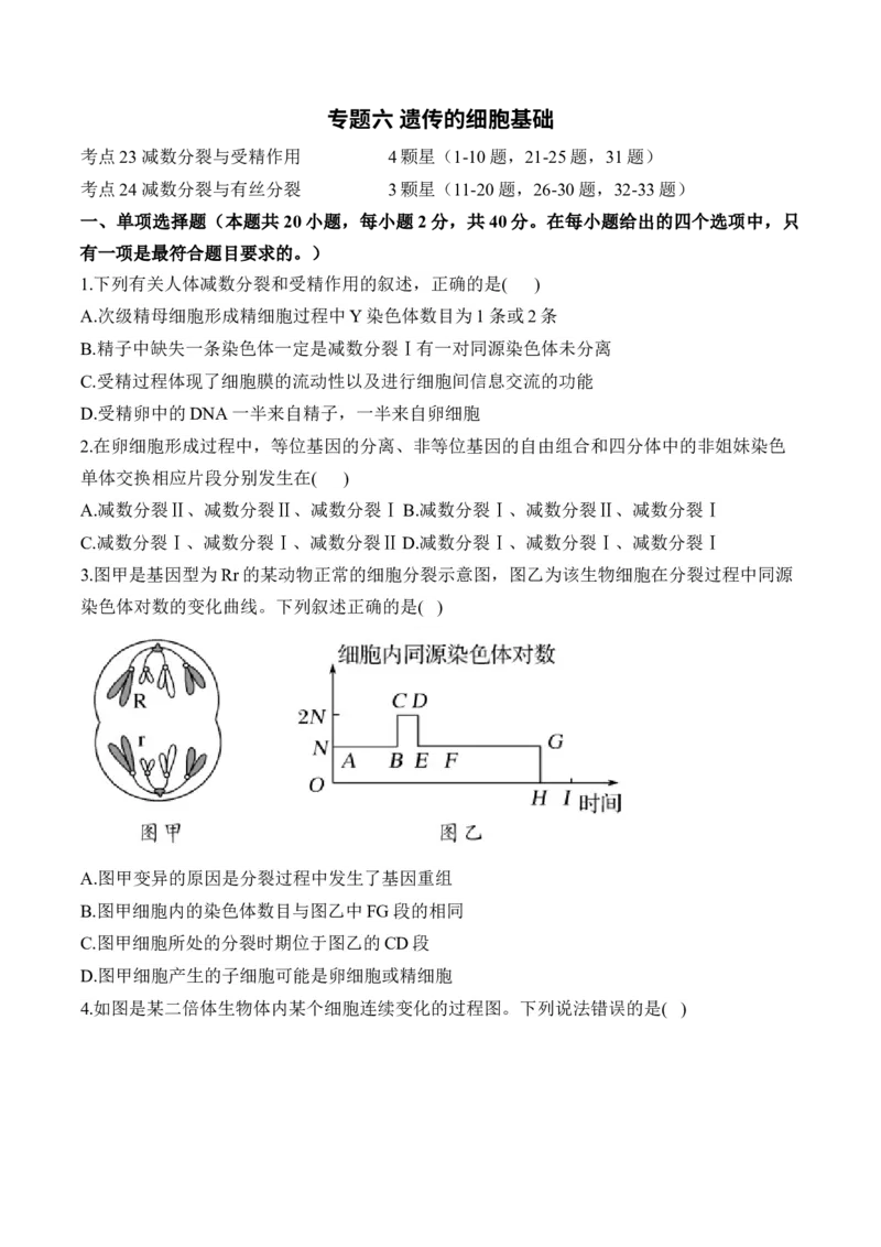专题六遗传的细胞基础（有解析）&mdash;&mdash;2025届高考生物考点剖析_2025年新高考资料_一轮复习_2025届高考生物一轮复习考点剖析练习（有解析）