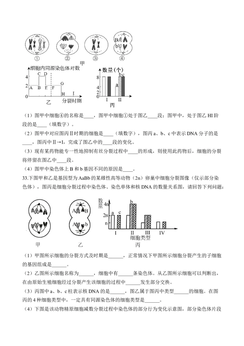 专题六遗传的细胞基础（有解析）&mdash;&mdash;2025届高考生物考点剖析_2025年新高考资料_一轮复习_2025届高考生物一轮复习考点剖析练习（有解析）