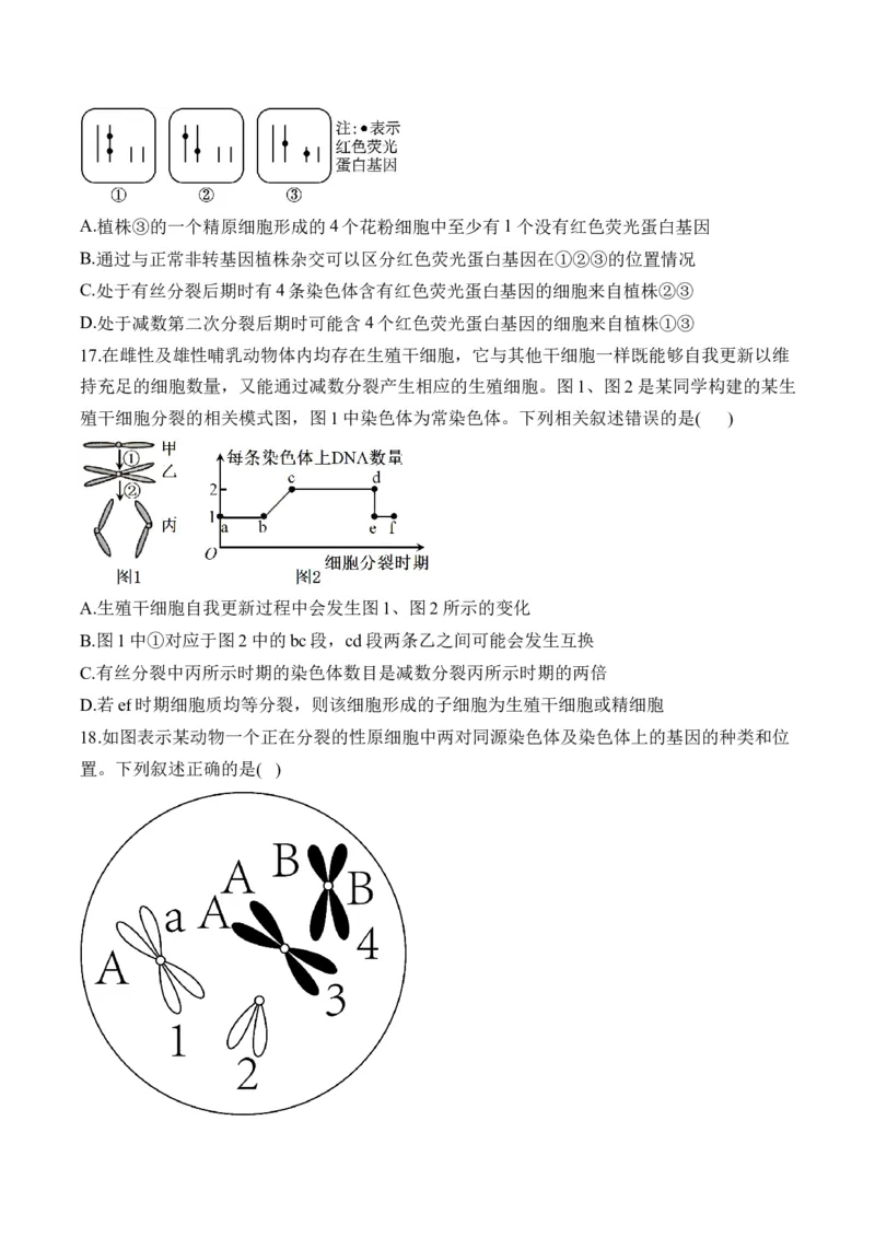 专题六遗传的细胞基础（有解析）&mdash;&mdash;2025届高考生物考点剖析_2025年新高考资料_一轮复习_2025届高考生物一轮复习考点剖析练习（有解析）