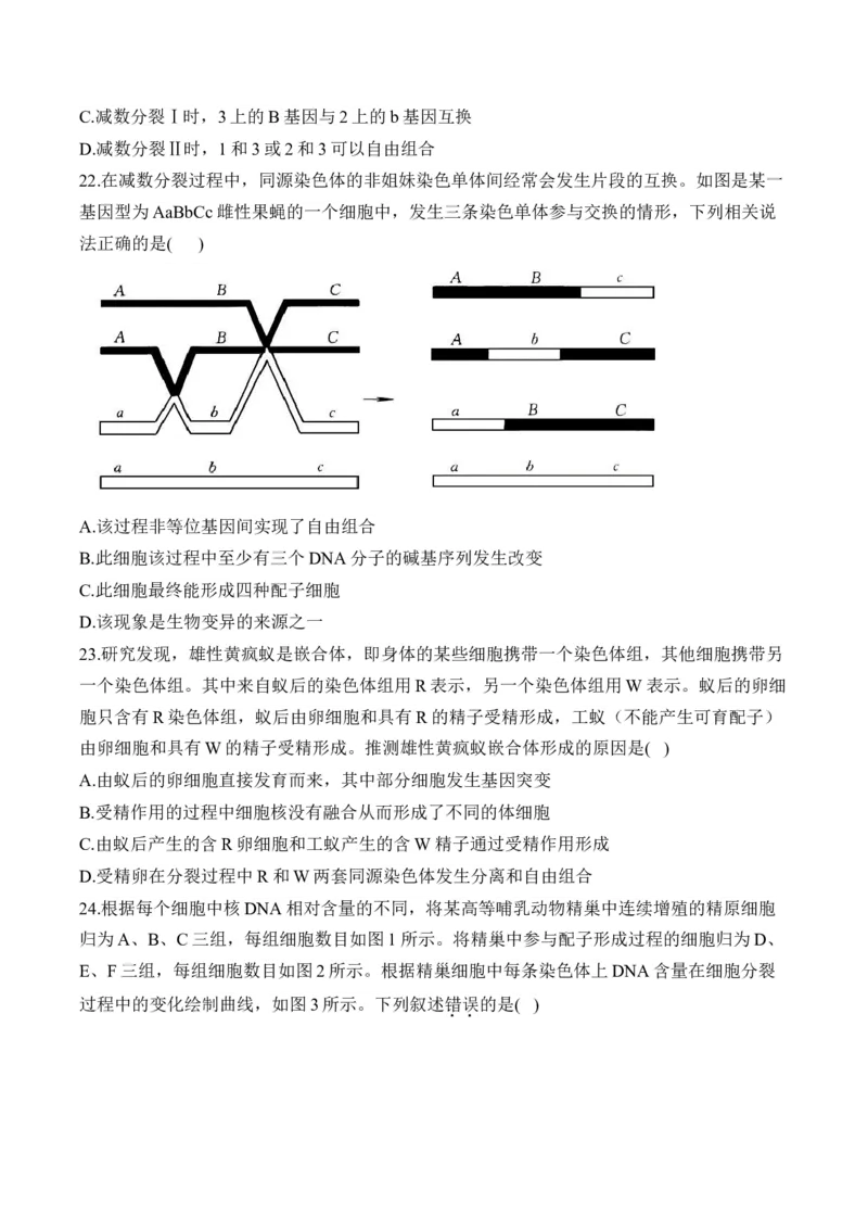 专题六遗传的细胞基础（有解析）&mdash;&mdash;2025届高考生物考点剖析_2025年新高考资料_一轮复习_2025届高考生物一轮复习考点剖析练习（有解析）