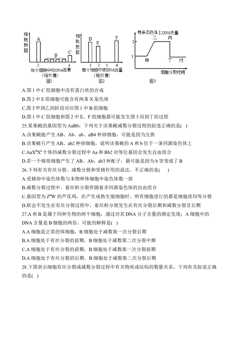 专题六遗传的细胞基础（有解析）&mdash;&mdash;2025届高考生物考点剖析_2025年新高考资料_一轮复习_2025届高考生物一轮复习考点剖析练习（有解析）