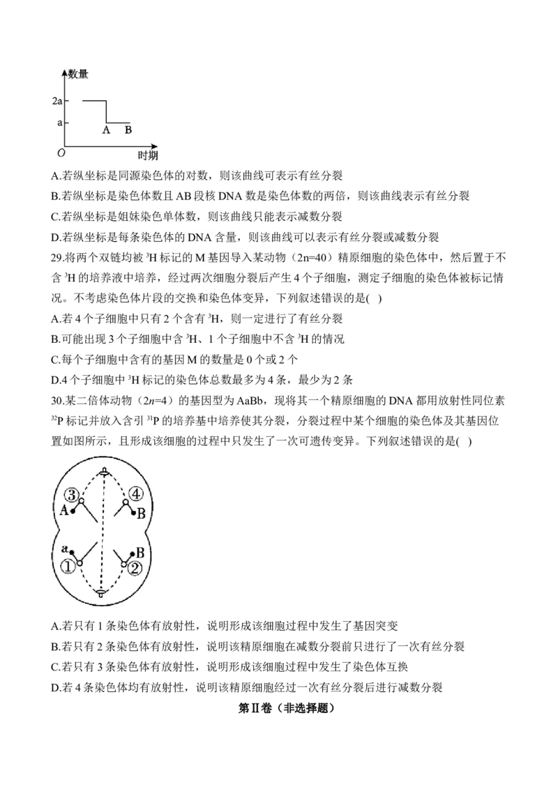专题六遗传的细胞基础（有解析）&mdash;&mdash;2025届高考生物考点剖析_2025年新高考资料_一轮复习_2025届高考生物一轮复习考点剖析练习（有解析）