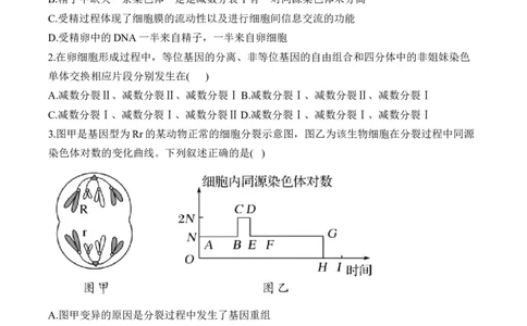 专题六遗传的细胞基础（有解析）&mdash;&mdash;2025届高考生物考点剖析_2025年新高考资料_一轮复习_2025届高考生物一轮复习考点剖析练习（有解析）