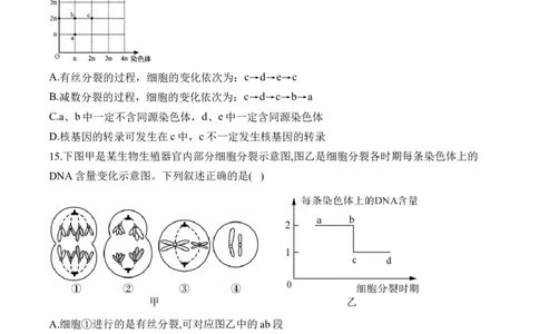 专题六遗传的细胞基础（有解析）&mdash;&mdash;2025届高考生物考点剖析_2025年新高考资料_一轮复习_2025届高考生物一轮复习考点剖析练习（有解析）