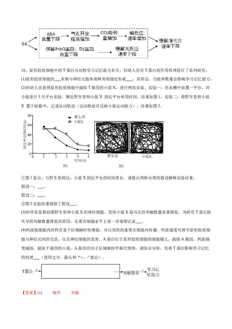 信息必刷卷03（北京专用）（解析版）_2025年新高考资料_2025考前信息卷_2025年高考生物考前信息必刷卷（北京专用）34427555