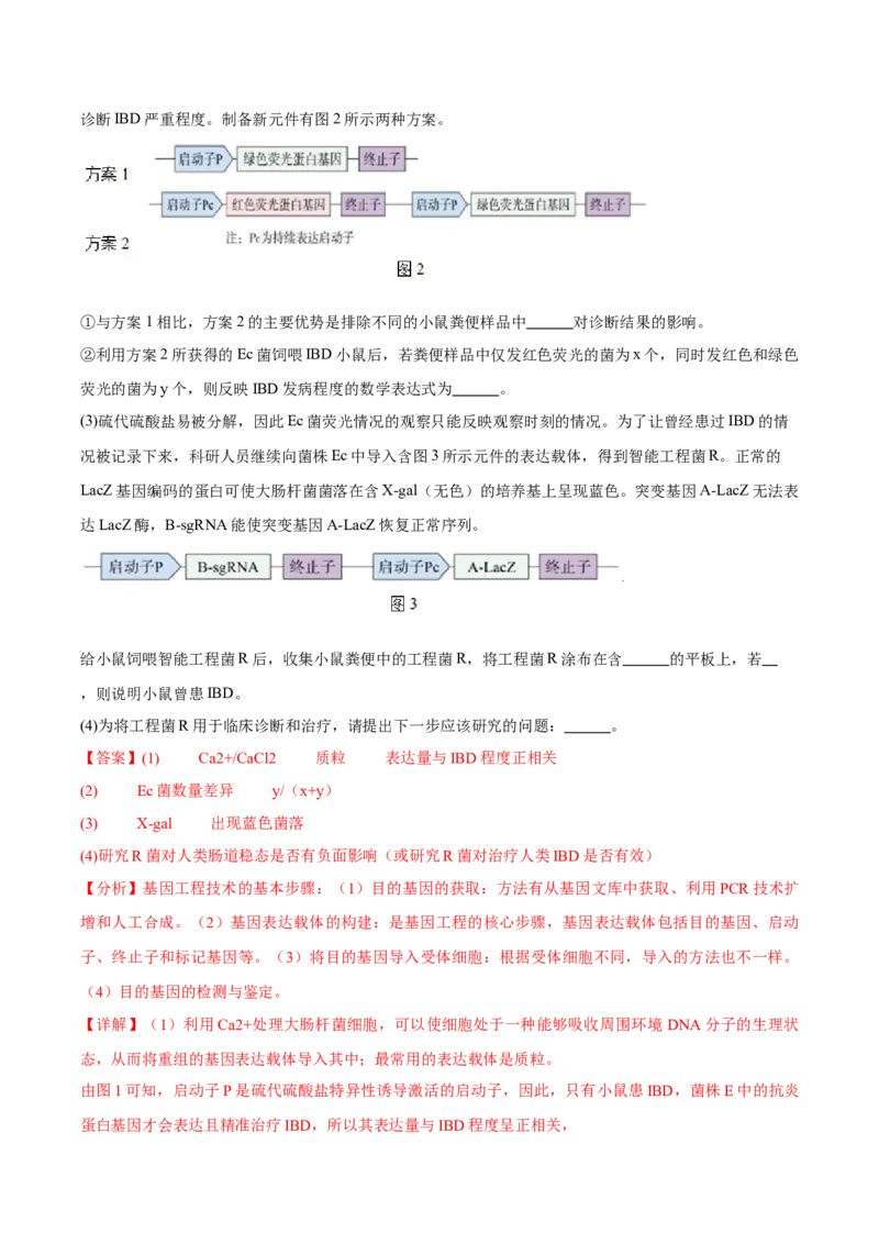 信息必刷卷03（北京专用）（解析版）_2025年新高考资料_2025考前信息卷_2025年高考生物考前信息必刷卷（北京专用）34427555