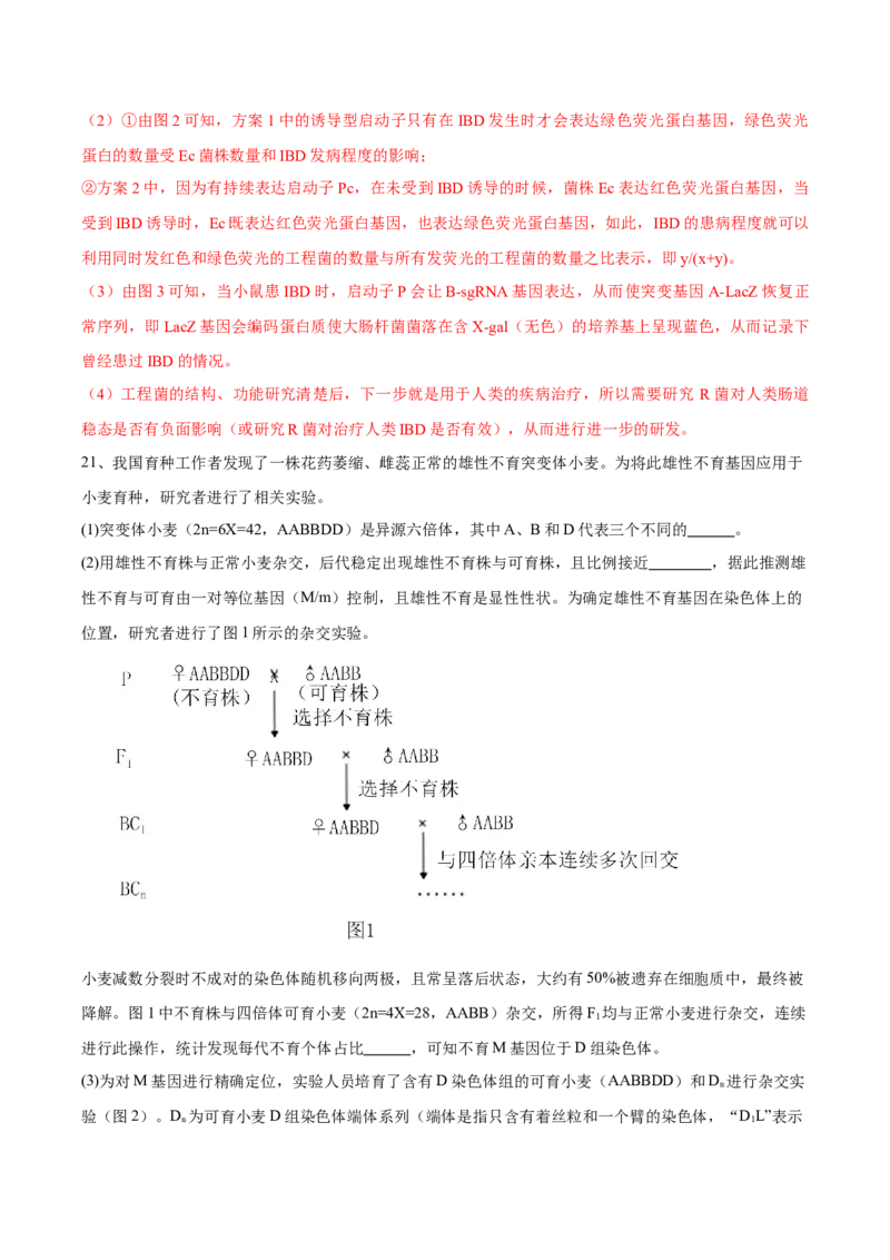 信息必刷卷03（北京专用）（解析版）_2025年新高考资料_2025考前信息卷_2025年高考生物考前信息必刷卷（北京专用）34427555