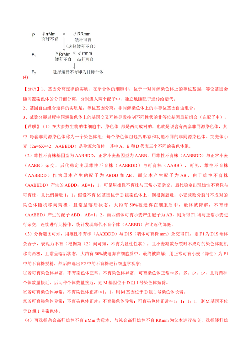 信息必刷卷03（北京专用）（解析版）_2025年新高考资料_2025考前信息卷_2025年高考生物考前信息必刷卷（北京专用）34427555
