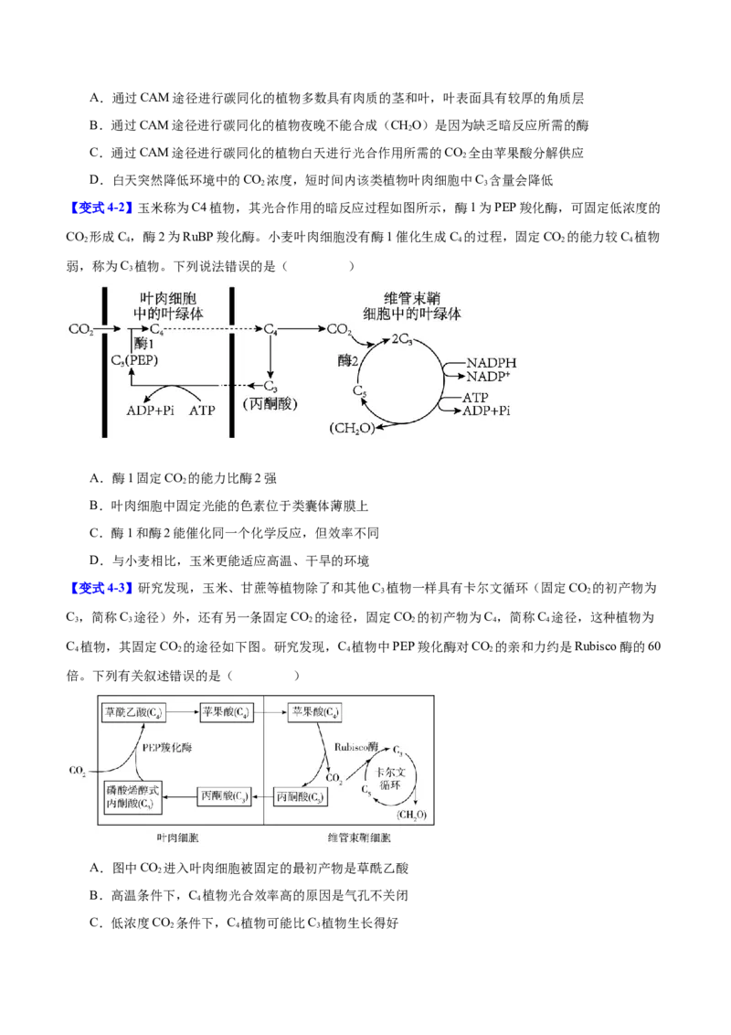 专题二细胞代谢（原卷版）_2025年新高考资料_二轮复习_01高考语文等多个文件_举一反三2025年高考生物二轮重点专题讲义（新高考通用）