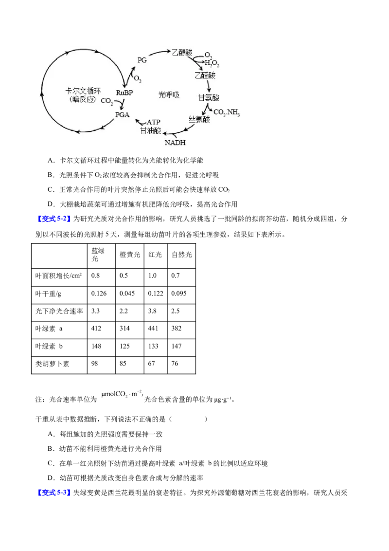 专题二细胞代谢（原卷版）_2025年新高考资料_二轮复习_01高考语文等多个文件_举一反三2025年高考生物二轮重点专题讲义（新高考通用）