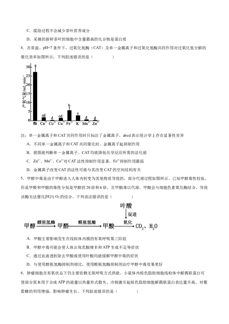 专题二细胞代谢（原卷版）_2025年新高考资料_二轮复习_01高考语文等多个文件_举一反三2025年高考生物二轮重点专题讲义（新高考通用）