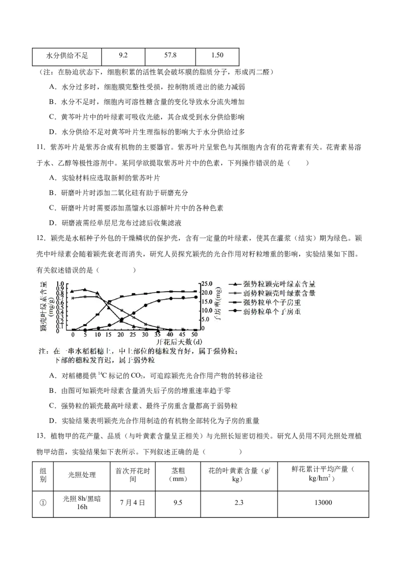 专题二细胞代谢（原卷版）_2025年新高考资料_二轮复习_01高考语文等多个文件_举一反三2025年高考生物二轮重点专题讲义（新高考通用）