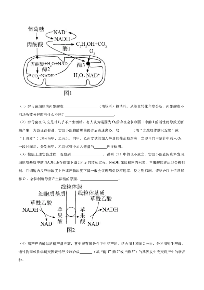 专题二细胞代谢（原卷版）_2025年新高考资料_二轮复习_01高考语文等多个文件_举一反三2025年高考生物二轮重点专题讲义（新高考通用）