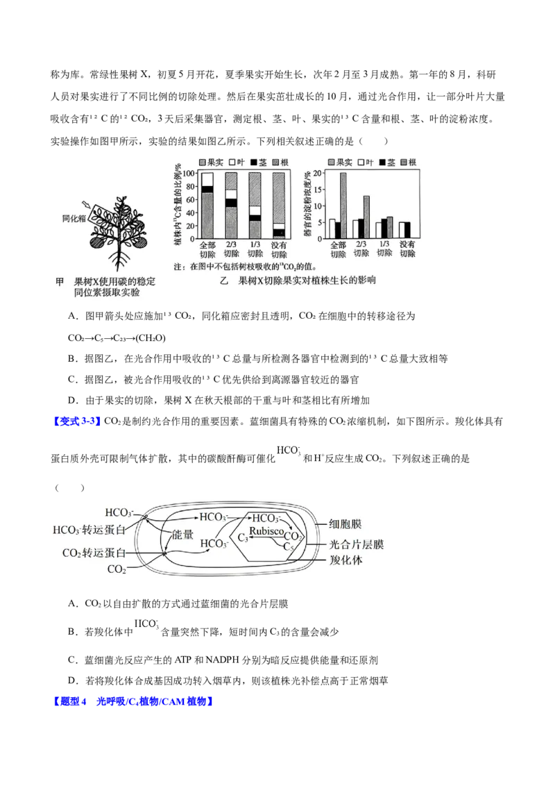 专题二细胞代谢（原卷版）_2025年新高考资料_二轮复习_01高考语文等多个文件_举一反三2025年高考生物二轮重点专题讲义（新高考通用）
