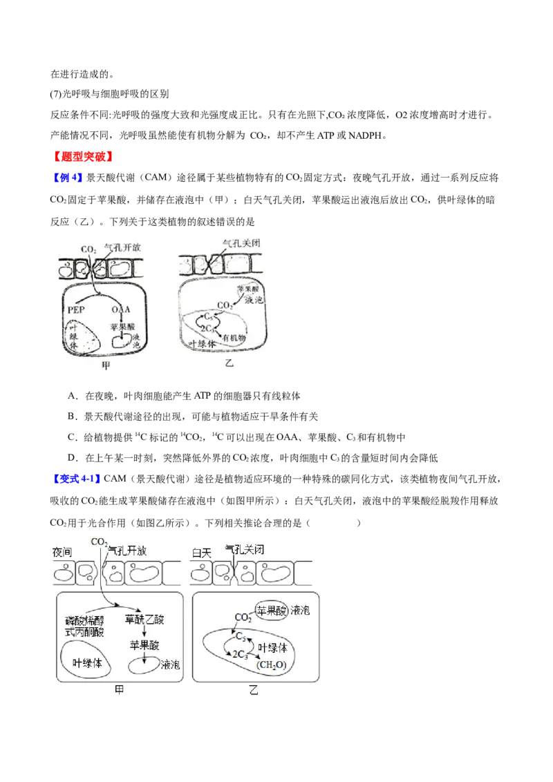 专题二细胞代谢（原卷版）_2025年新高考资料_二轮复习_01高考语文等多个文件_举一反三2025年高考生物二轮重点专题讲义（新高考通用）