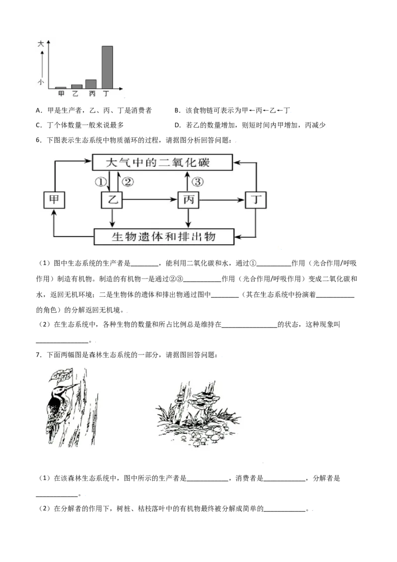 必考点04生物与环境组成生态系统-（人教版）（原卷版）_初中全科电子版试卷练习试题_生物_生物人教版7上练习&mdash;24新版已更新_人教生物7年级上专项练习28份