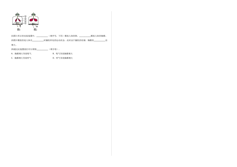 第三单元人体的呼吸（选拔卷）-单元测试（人教版）（考试版）_初中全科电子版试卷练习试题_生物_生物人教版7下练习_人教生物7年级下单元试卷33份