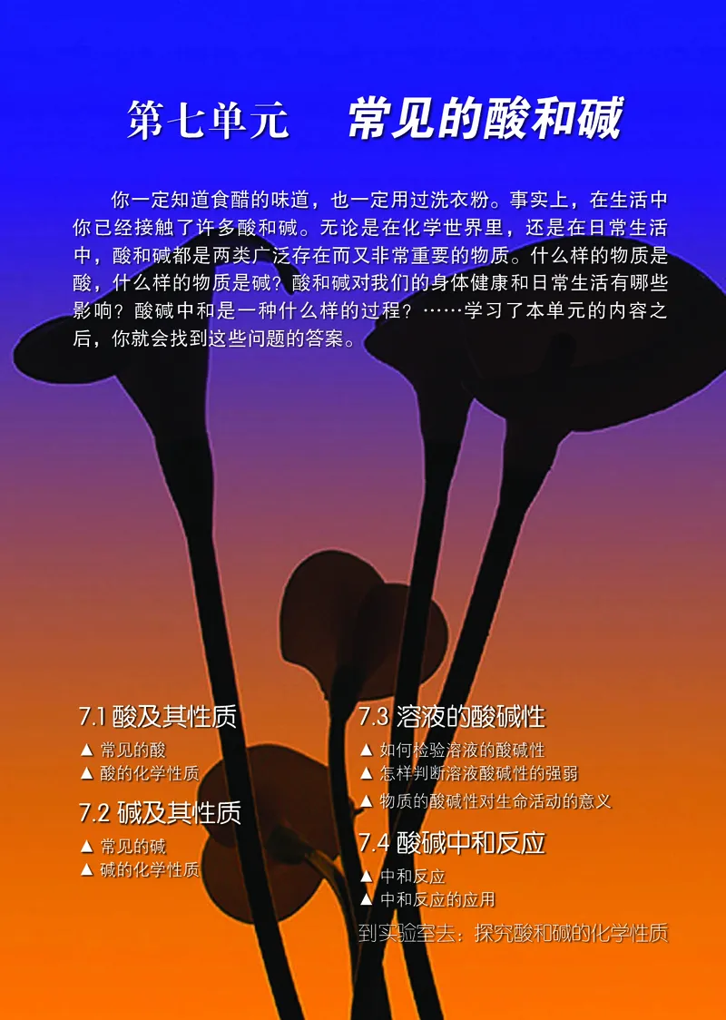 鲁教版九年级电子课本下册_初中电子课本_5.化学_鲁教版