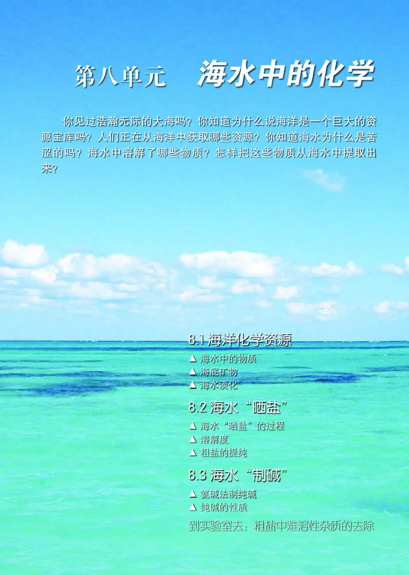 鲁教版九年级电子课本下册_初中电子课本_5.化学_鲁教版