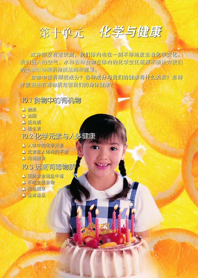 鲁教版九年级电子课本下册_初中电子课本_5.化学_鲁教版