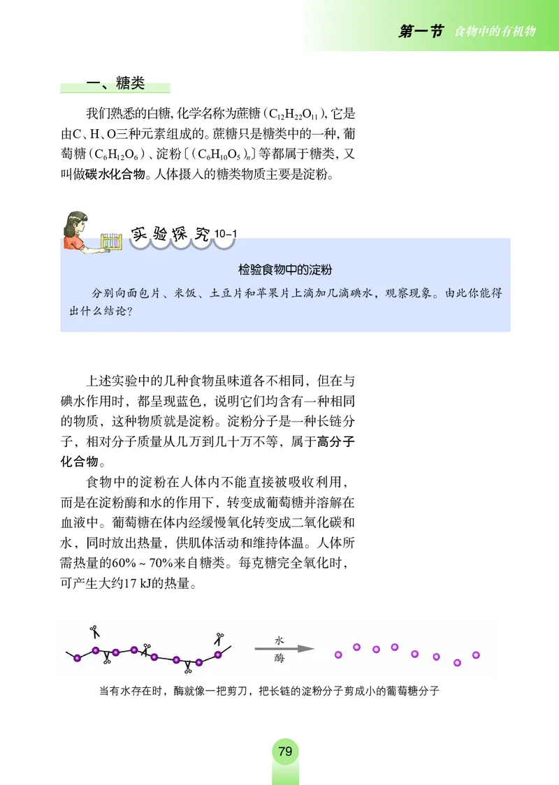 鲁教版九年级电子课本下册_初中电子课本_5.化学_鲁教版