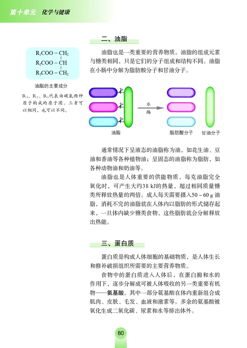 鲁教版九年级电子课本下册_初中电子课本_5.化学_鲁教版