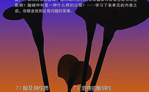 鲁教版九年级电子课本下册_初中电子课本_5.化学_鲁教版