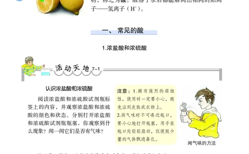 鲁教版九年级电子课本下册_初中电子课本_5.化学_鲁教版