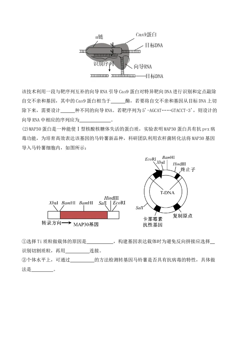 二轮题型突破卷（2）（原卷版）_新高考复习资料_2024年新高考复习资料_二轮复习资料_2024年高考生物二轮热点题型归纳与变式演练（新高考通用）