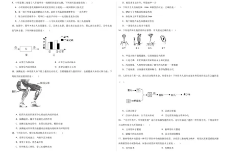 生物（河南卷）（考试版A3）_初中全科电子版试卷练习试题_生物_2024中考模拟题生物(1)_三模（37套）_生物（河南卷）