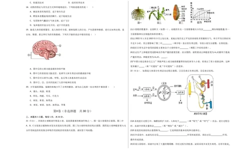 生物（河南卷）（考试版A3）_初中全科电子版试卷练习试题_生物_2024中考模拟题生物(1)_三模（37套）_生物（河南卷）