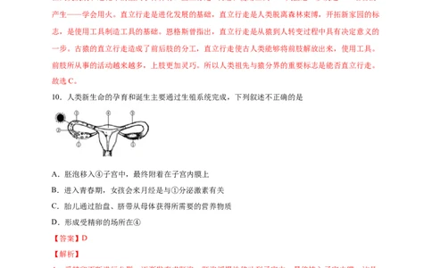 第一单元人的由来（提分小卷）-单元测试（人教版）（解析版）_初中全科电子版试卷练习试题_生物_生物人教版7下练习_人教生物7年级下单元试卷33份