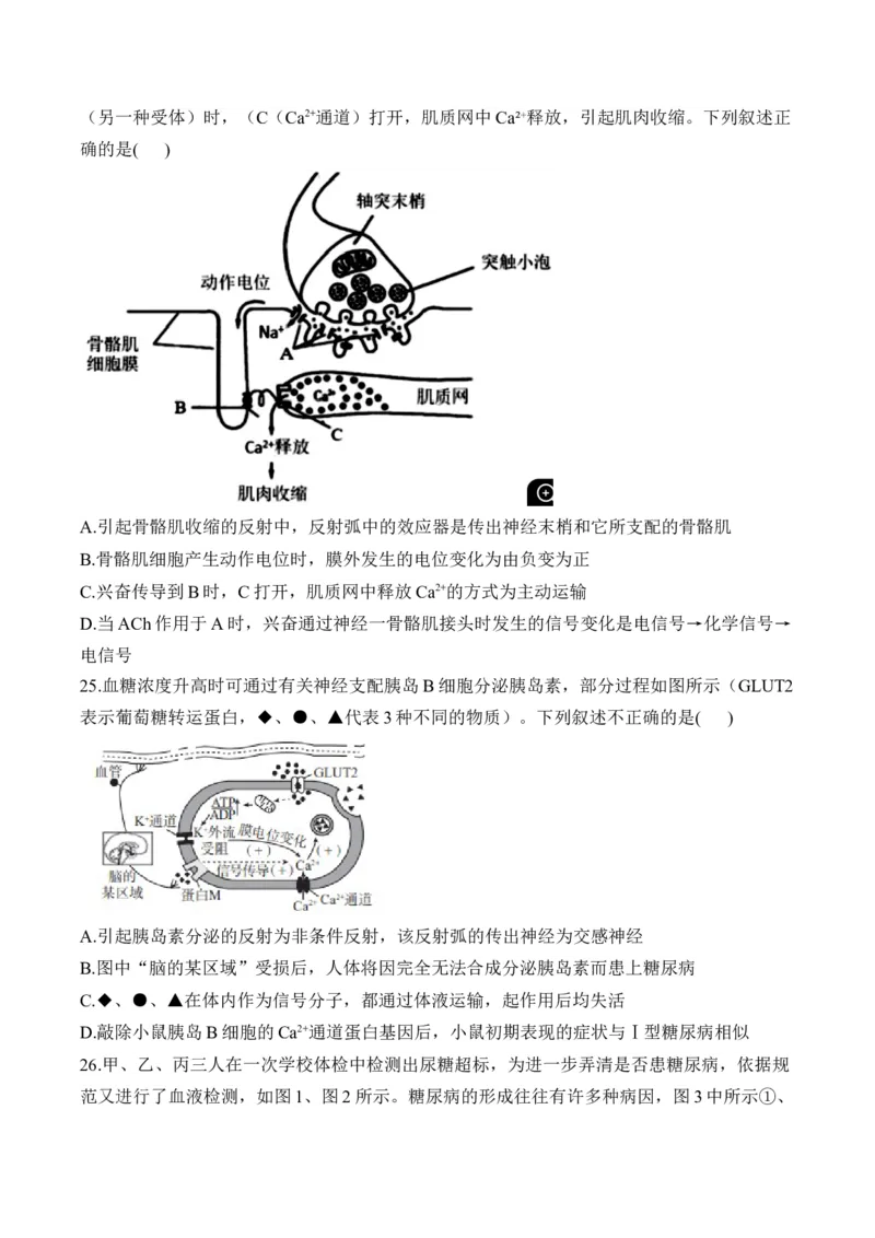 专题十二人类高等动物的神经调节、体液调节和免疫调节&mdash;&mdash;高考生物学考点剖析精创专题卷（含解析）_2025年新高考资料_一轮复习_2025届高考生物一轮复习考点剖析练习（有解析）