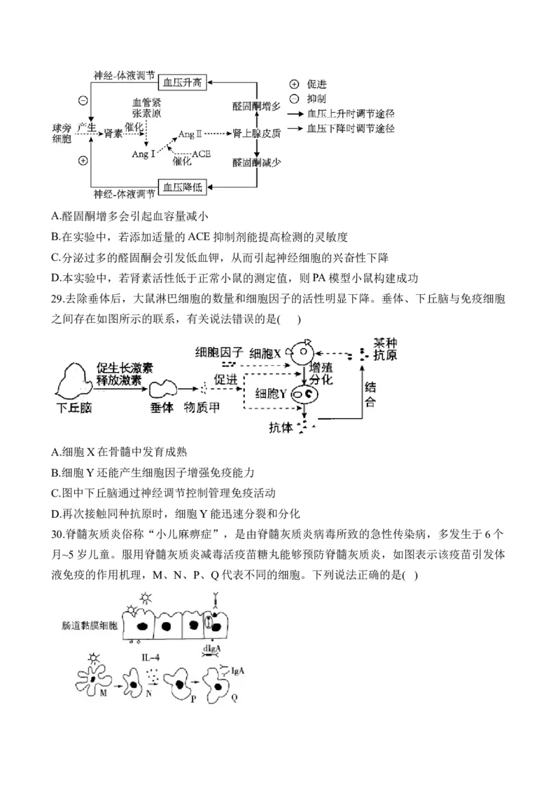专题十二人类高等动物的神经调节、体液调节和免疫调节&mdash;&mdash;高考生物学考点剖析精创专题卷（含解析）_2025年新高考资料_一轮复习_2025届高考生物一轮复习考点剖析练习（有解析）