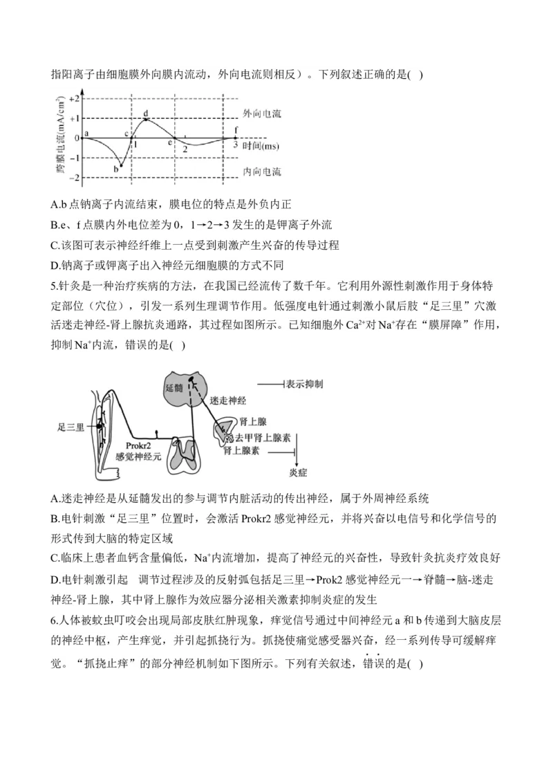 专题十二人类高等动物的神经调节、体液调节和免疫调节&mdash;&mdash;高考生物学考点剖析精创专题卷（含解析）_2025年新高考资料_一轮复习_2025届高考生物一轮复习考点剖析练习（有解析）