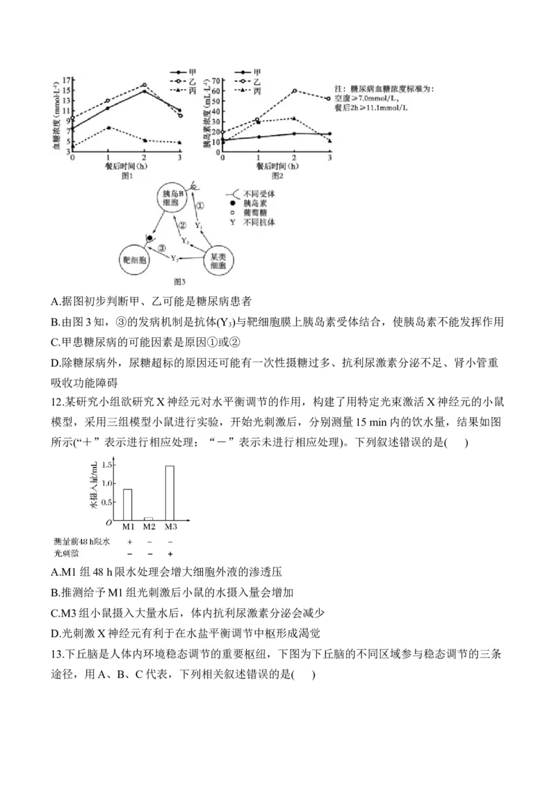 专题十二人类高等动物的神经调节、体液调节和免疫调节&mdash;&mdash;高考生物学考点剖析精创专题卷（含解析）_2025年新高考资料_一轮复习_2025届高考生物一轮复习考点剖析练习（有解析）