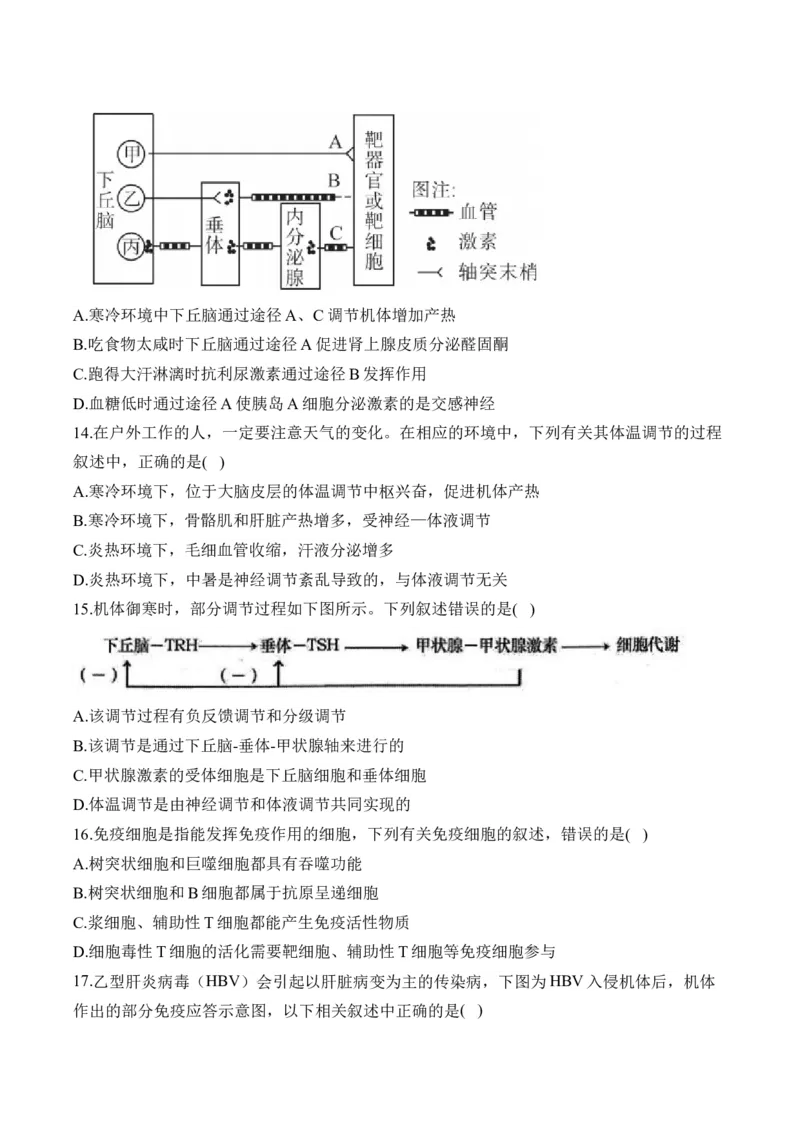 专题十二人类高等动物的神经调节、体液调节和免疫调节&mdash;&mdash;高考生物学考点剖析精创专题卷（含解析）_2025年新高考资料_一轮复习_2025届高考生物一轮复习考点剖析练习（有解析）