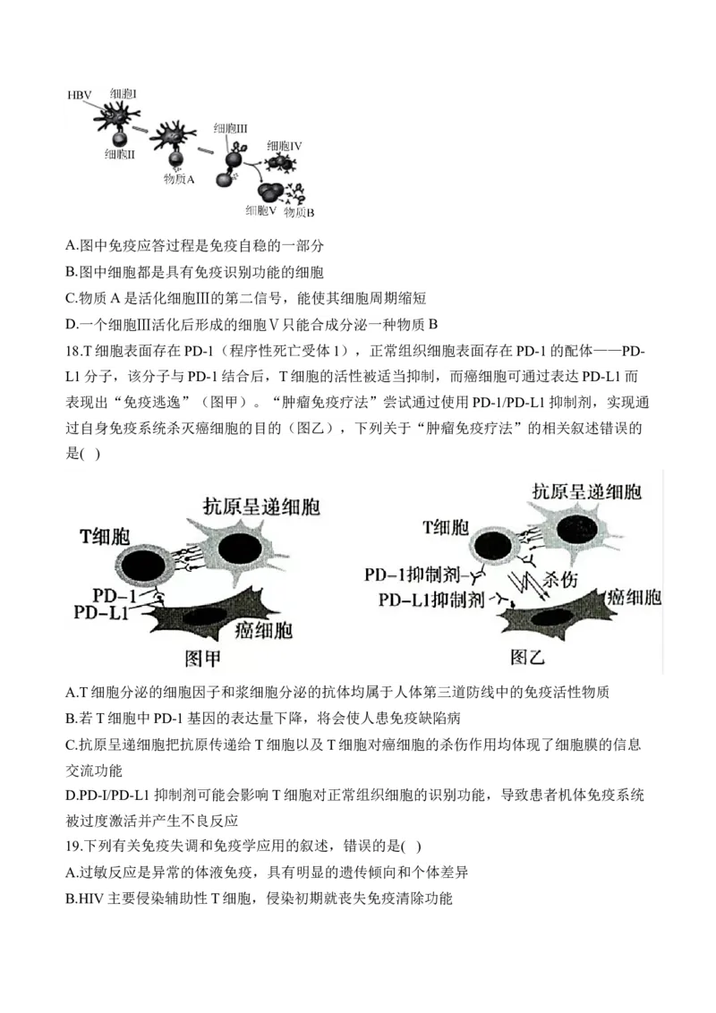 专题十二人类高等动物的神经调节、体液调节和免疫调节&mdash;&mdash;高考生物学考点剖析精创专题卷（含解析）_2025年新高考资料_一轮复习_2025届高考生物一轮复习考点剖析练习（有解析）