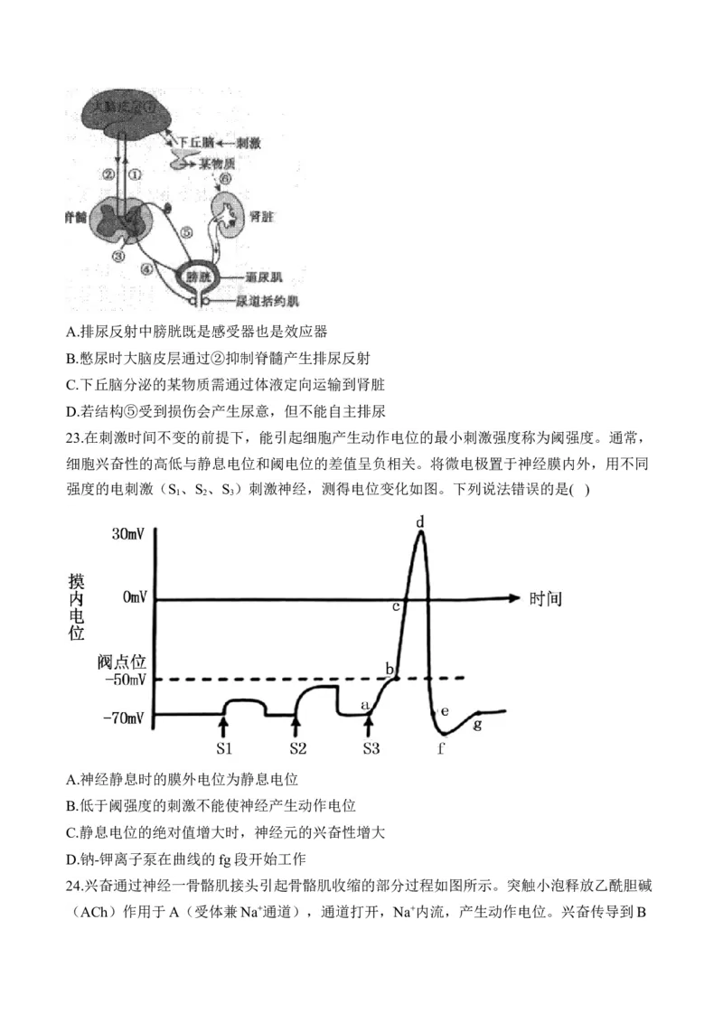 专题十二人类高等动物的神经调节、体液调节和免疫调节&mdash;&mdash;高考生物学考点剖析精创专题卷（含解析）_2025年新高考资料_一轮复习_2025届高考生物一轮复习考点剖析练习（有解析）