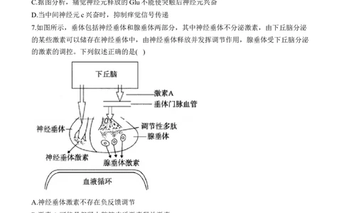 专题十二人类高等动物的神经调节、体液调节和免疫调节&mdash;&mdash;高考生物学考点剖析精创专题卷（含解析）_2025年新高考资料_一轮复习_2025届高考生物一轮复习考点剖析练习（有解析）