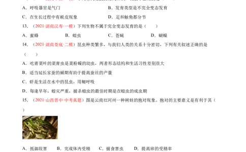 第07单元第01章生物的生殖和发育单元测试（A卷&middot;夯实基础）（原卷版）_初中全科电子版试卷练习试题_生物_生物8下练习_人教生物8年级下单元试卷38份