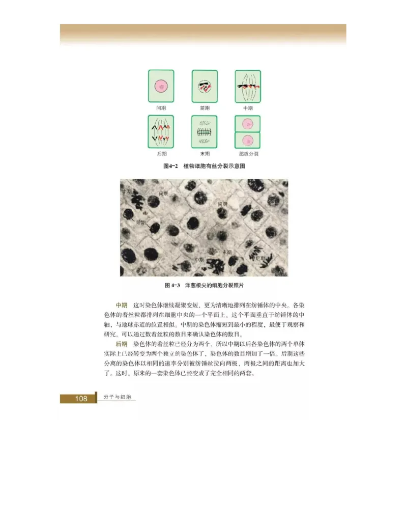 浙科版高中生物必修1《分子与细胞》电子课本_高中电子课本_最新版高中全科高清电子课本_6高中生物课本_浙科版高中生物