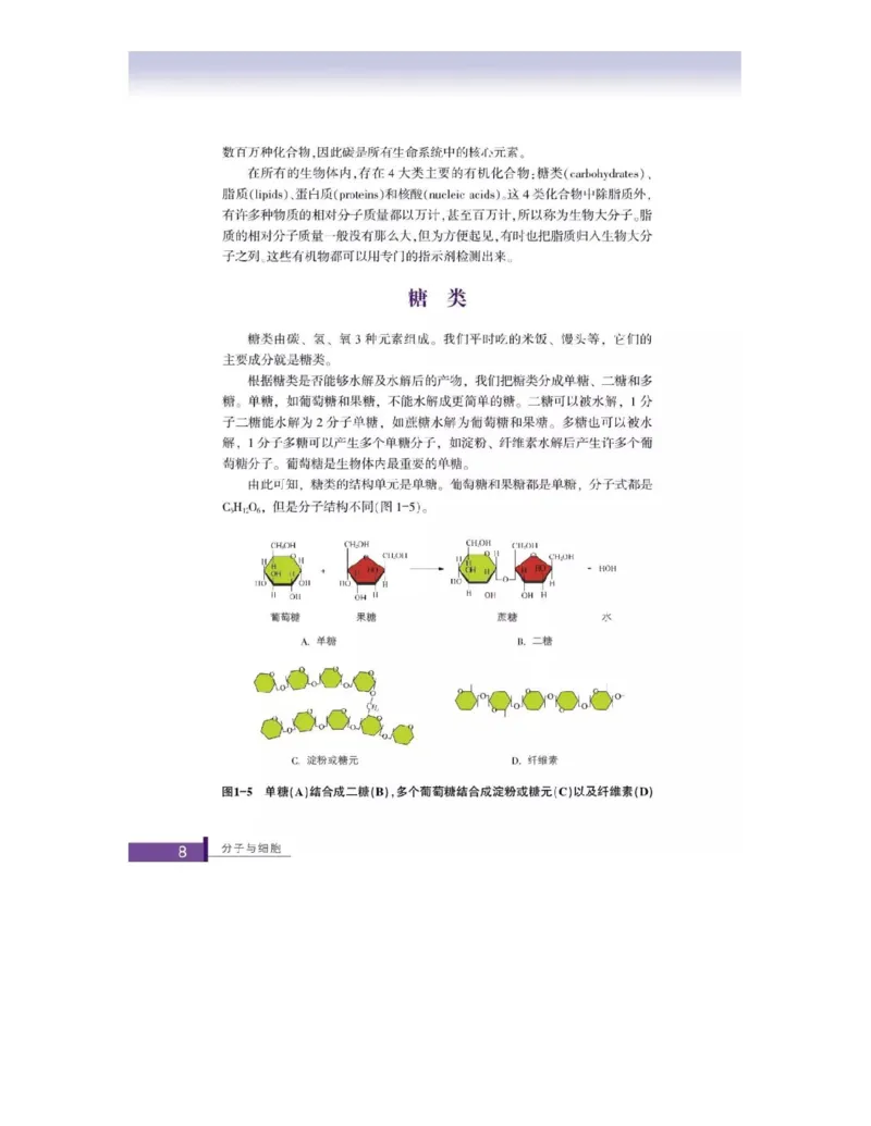 浙科版高中生物必修1《分子与细胞》电子课本_高中电子课本_最新版高中全科高清电子课本_6高中生物课本_浙科版高中生物