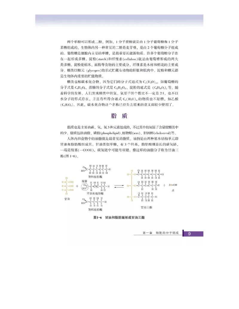 浙科版高中生物必修1《分子与细胞》电子课本_高中电子课本_最新版高中全科高清电子课本_6高中生物课本_浙科版高中生物