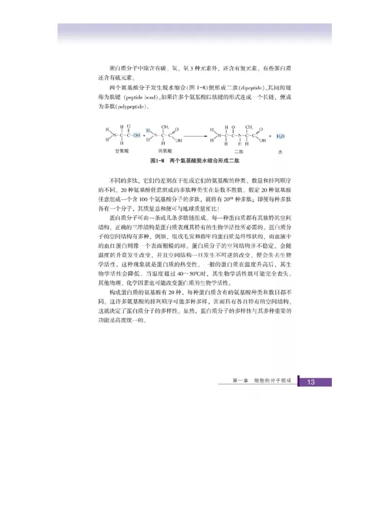 浙科版高中生物必修1《分子与细胞》电子课本_高中电子课本_最新版高中全科高清电子课本_6高中生物课本_浙科版高中生物