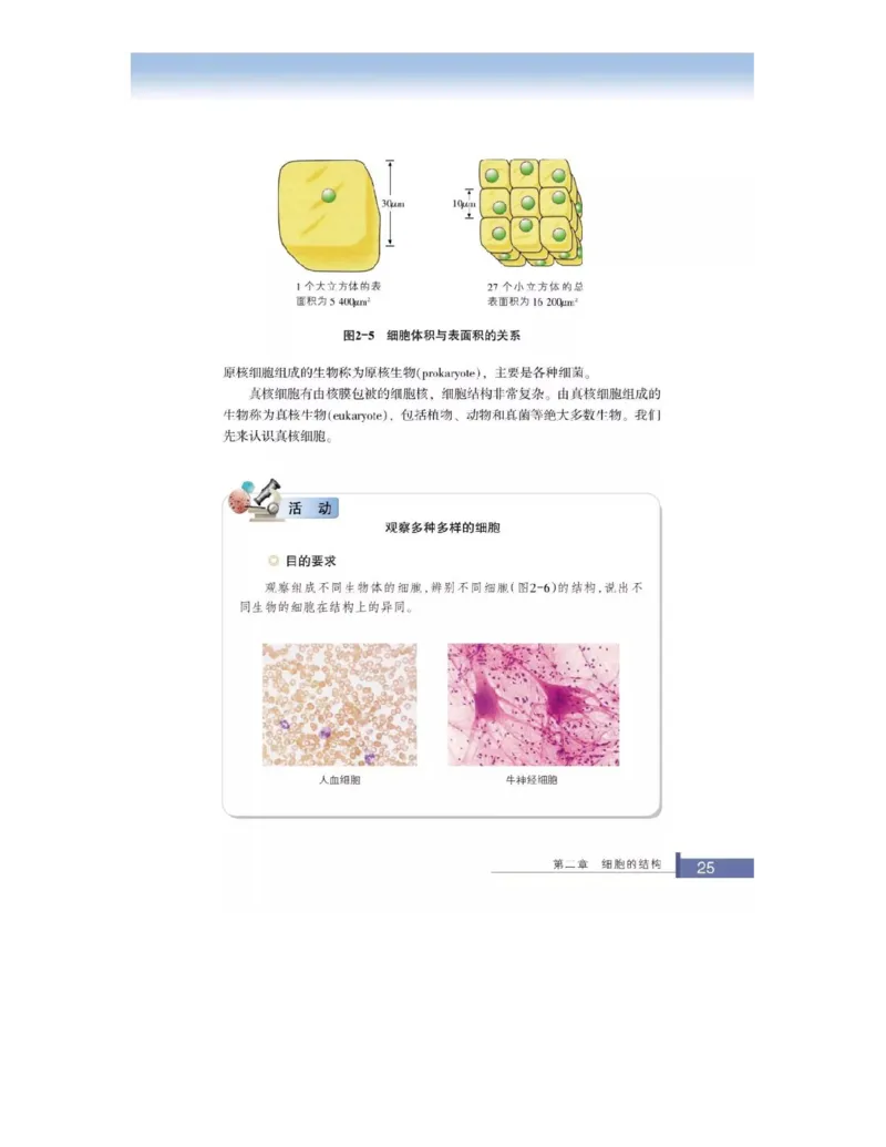 浙科版高中生物必修1《分子与细胞》电子课本_高中电子课本_最新版高中全科高清电子课本_6高中生物课本_浙科版高中生物
