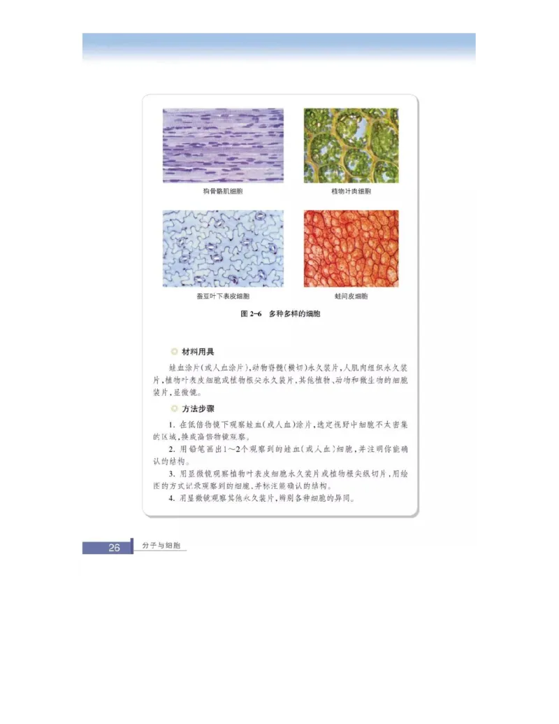 浙科版高中生物必修1《分子与细胞》电子课本_高中电子课本_最新版高中全科高清电子课本_6高中生物课本_浙科版高中生物