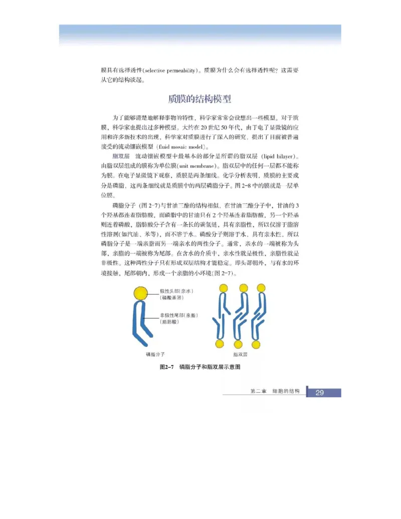 浙科版高中生物必修1《分子与细胞》电子课本_高中电子课本_最新版高中全科高清电子课本_6高中生物课本_浙科版高中生物